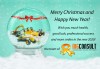 Merry Christmas and Happy New Year!